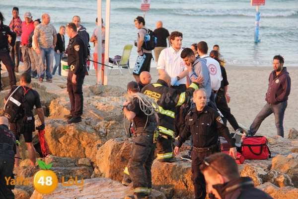 delferaniom3 (1).JPG